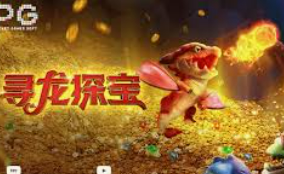 娱乐星空下载app2024最新版