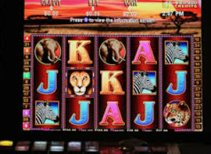 娱乐星空下载app免费版