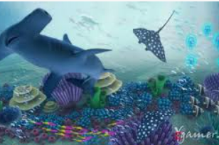 娱乐星空下载app